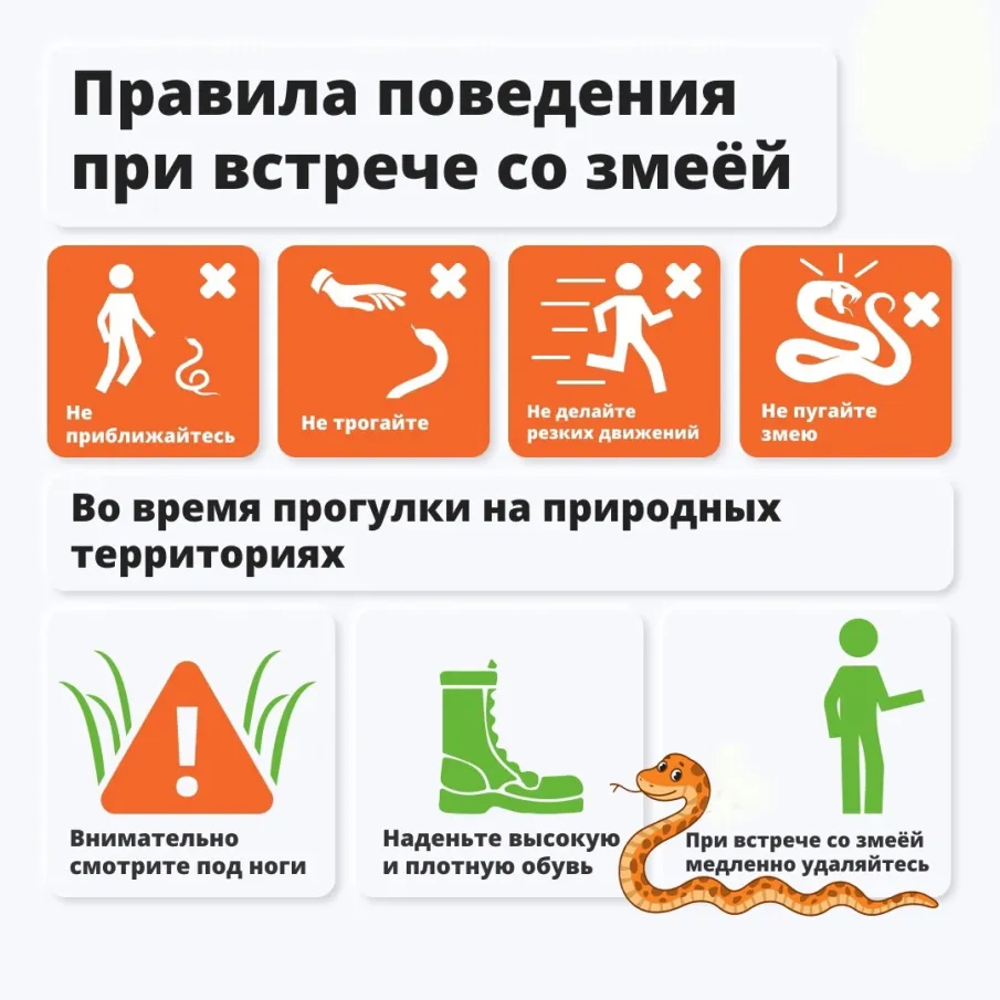 Осторожно змеи!!!